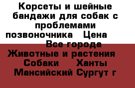 Корсеты и шейные бандажи для собак с проблемами позвоночника › Цена ­ 2 500 - Все города Животные и растения » Собаки   . Ханты-Мансийский,Сургут г.